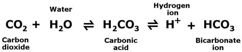 why carbonic acid is unstable